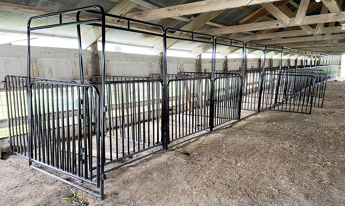 Cedar County Fair making big strides | North Scott Press